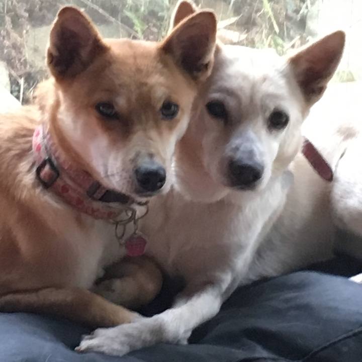 8ae34a88 46de 4b3b 88ae 1ba118851fef 1515907211653