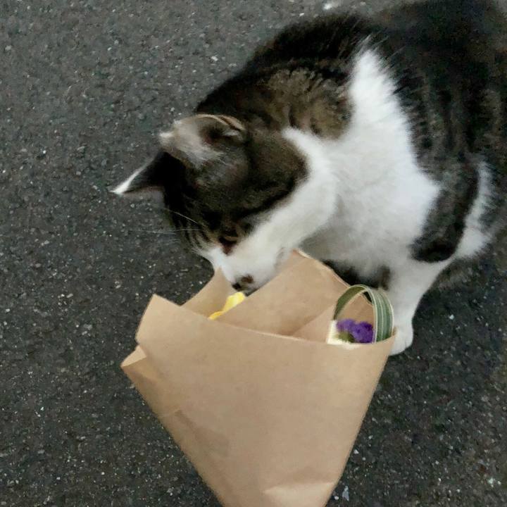 8ae356fe e917 4b3e 8e6b 8adaaf239799 1542285025606