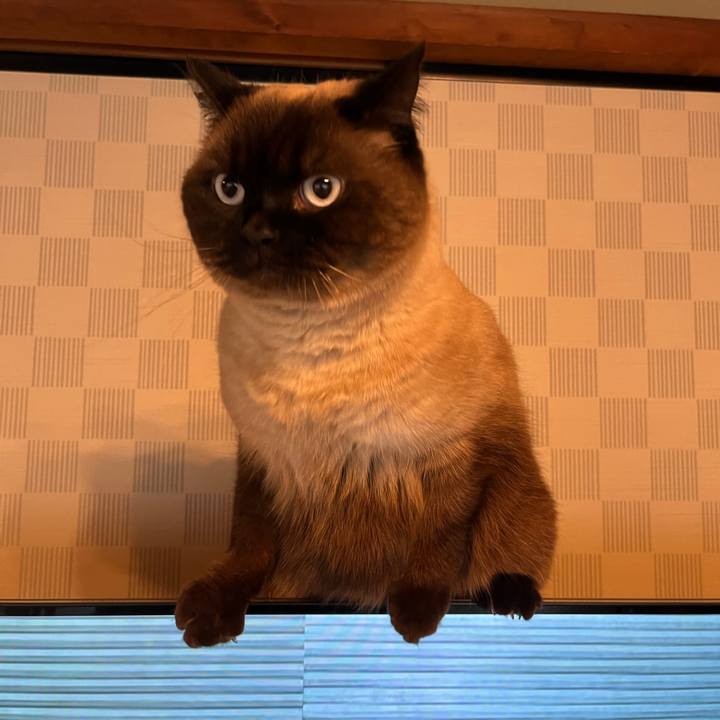 8ae3809f 5053 4235 b65f eb9401145180 1681531847568