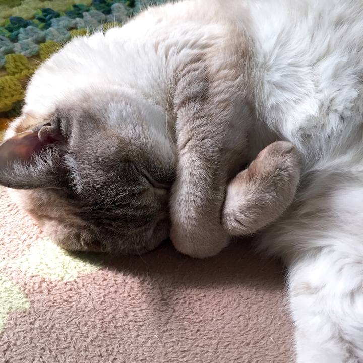 8ae38140 c685 488e bed2 5e7bc2b80eee 1551092626482