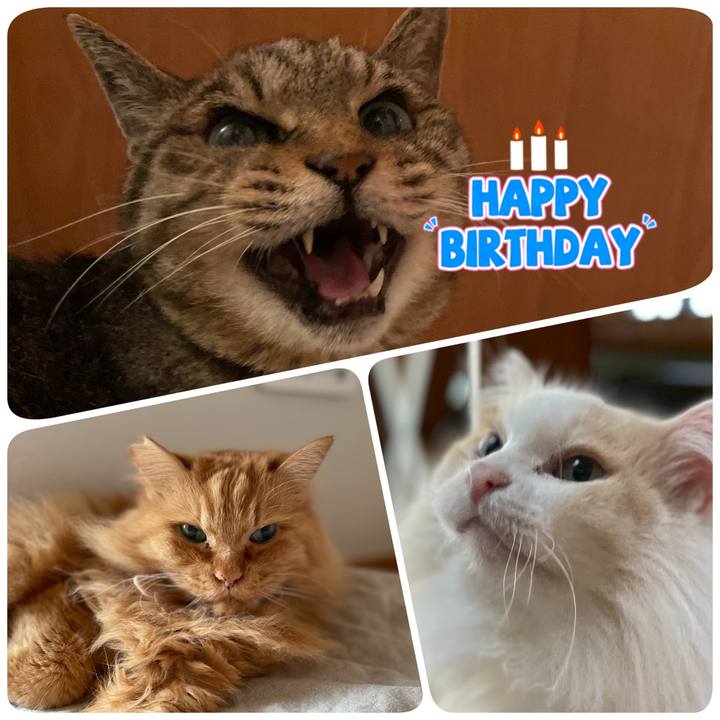 8ae39073 f83d 4082 94a8 6160eb5b463c 1755128405766