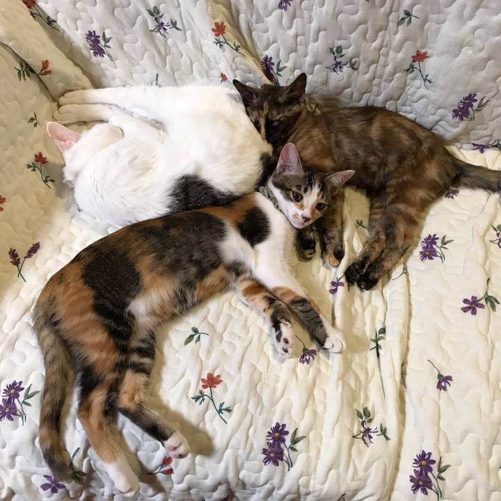 8ae39512 a450 4107 ba10 b191420fe725 1603587862590