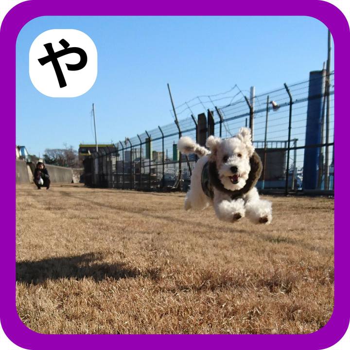 8ae3b334 2ede 46a1 bc30 7dcfa4a4b0a8 1514941262655