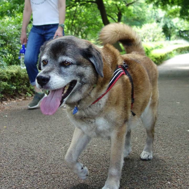 8ae3b897 e39f 4995 be8d e1e88ef541e5 1638664402227