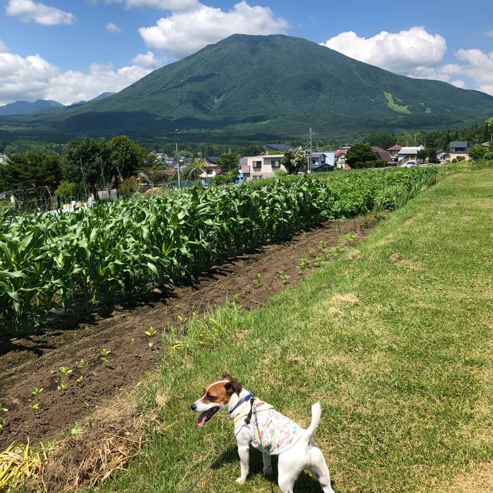 8ae3b8c2 af99 42af 8e55 9b4ec604c652 1592995709326