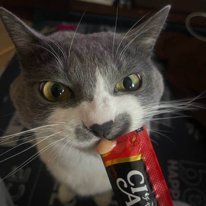 8ae3c61e 0aed 4cf2 ba37 c2252a397844 1705303357943