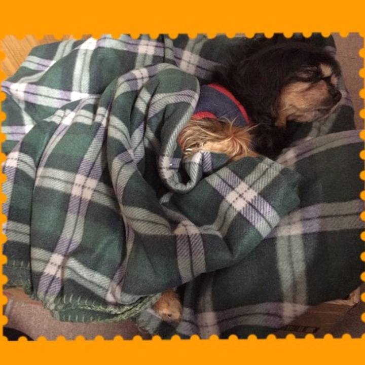 8ae3c6dd 95c9 4243 8fa5 4bb1a74ddd15 1509459359171