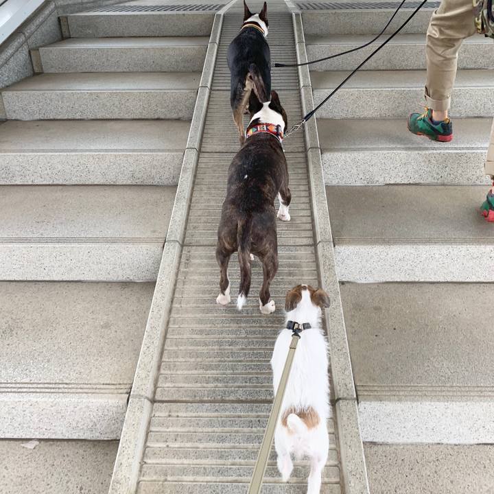 8ae3de9a d686 45d4 9621 3d065e8f0d5e 1563020964108