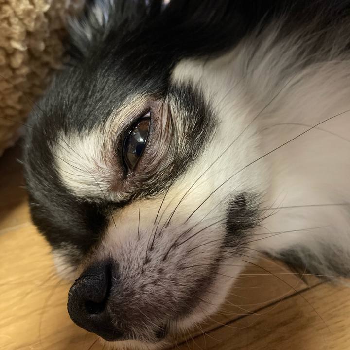 8ae3f429 5c56 4639 936c bdc6ae49feab 1656738511738