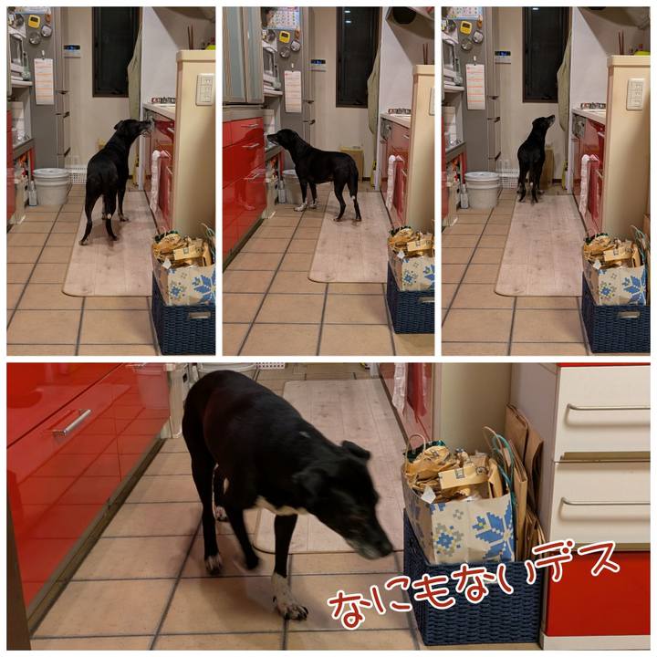 8ae43a4b 5de0 4866 a74b d93bfb16befc 1735384118462