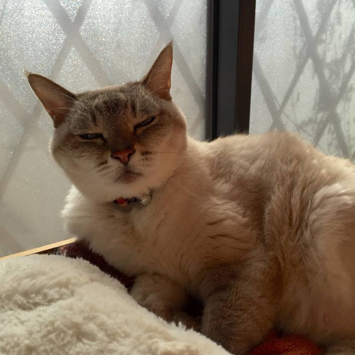 8ae4488c 086b 431b 8c85 9af6750c5d71 1545970193240