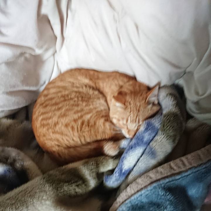 8ae4a5df a740 4903 a071 fcae1f7942a2 1650325497058