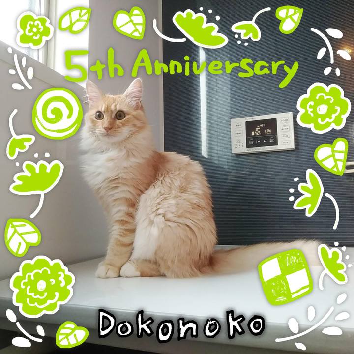 8ae4ac43 b678 4c5e aedf 99ee0f9b5bf4 1623152887623