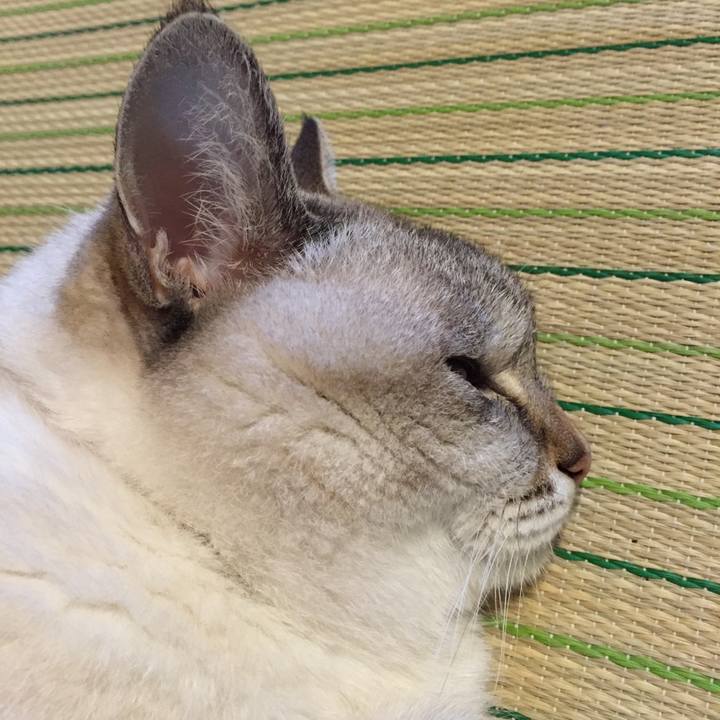 8ae4b2ed aaac 4c33 9412 2fb9d0b38645 1536357204126