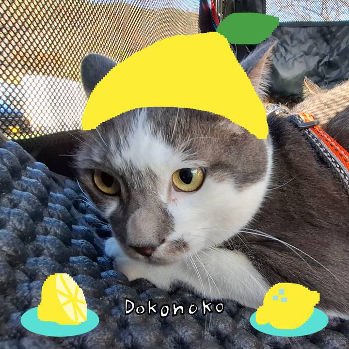 8ae4c49d 0f03 4a03 a98a fc28a6685137 1741230232255