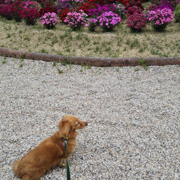 8ae4ff50 cde6 4c60 9f65 5e3ef6362880 1589546176759