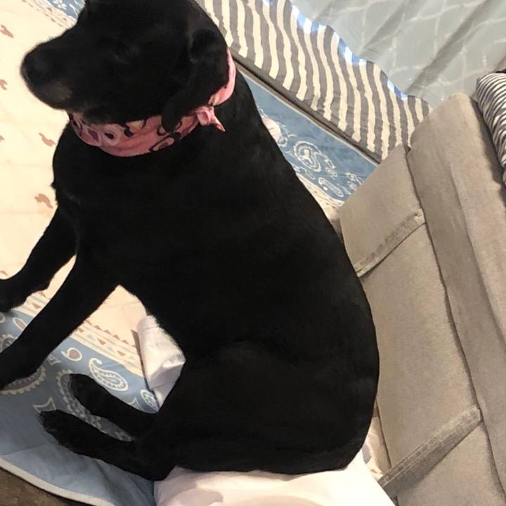 8ae5271d cc5a 4780 9d43 be4ec772d165 1567390028323