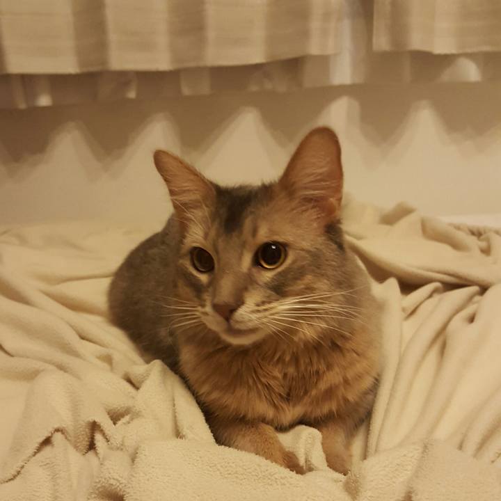 8ae5992e cd2c 4472 81d4 d9b24c1c5292 1516454209580