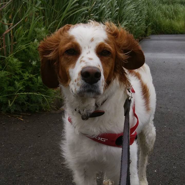 8ae5d591 2185 4d73 b3e8 bb1d15aa8d44 1527671142944