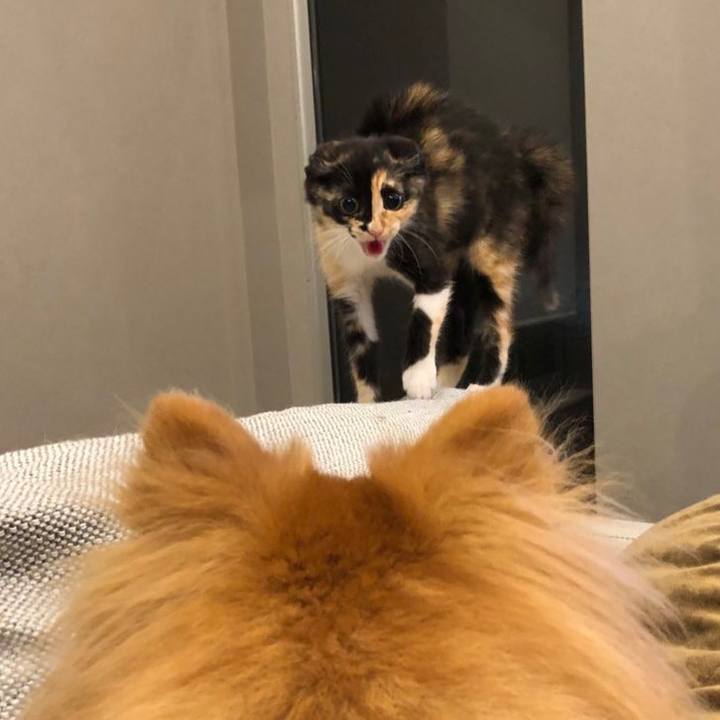 8ae5dba8 63a3 4276 bcd1 c00afd36e58a 1626183777409