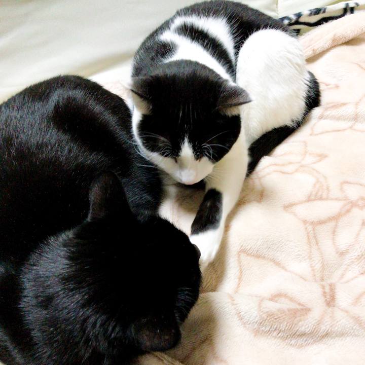 8ae5f8c9 46dc 4694 92f0 daa818aced58 1516153775592