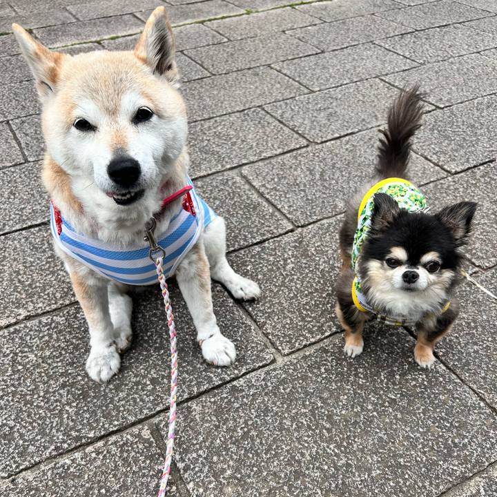 8ae6166a 4624 4b63 a079 edc51ebcd6f8 1747379655073