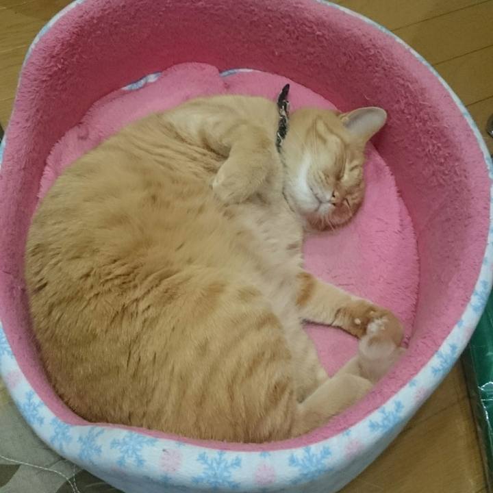 8ae6344a c10e 40ae b081 395884ee55ae 1525351495877