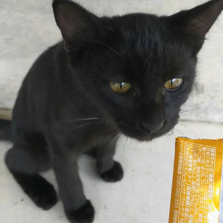 8ae65ec2 5ea9 4151 9336 65f40f099b3e 1534126572430