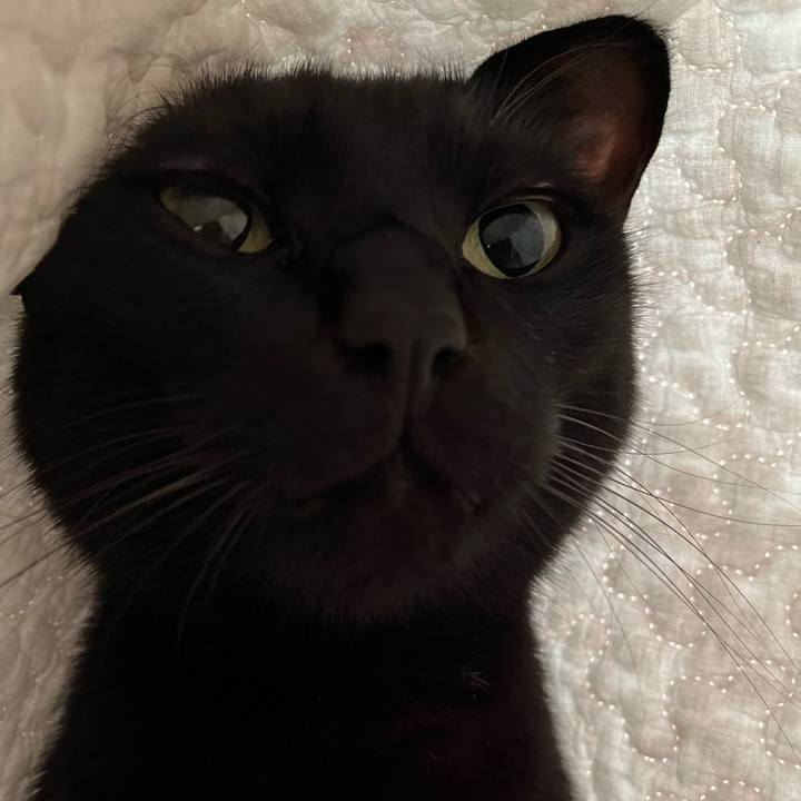 8ae65ef1 cb21 441f 8abf 91533b82342d 1688467120855