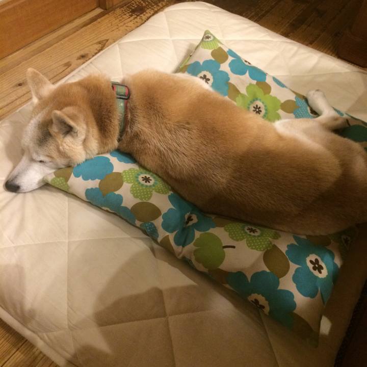 8ae66025 8450 4be7 a144 d752dd8da2c8 1547128337094