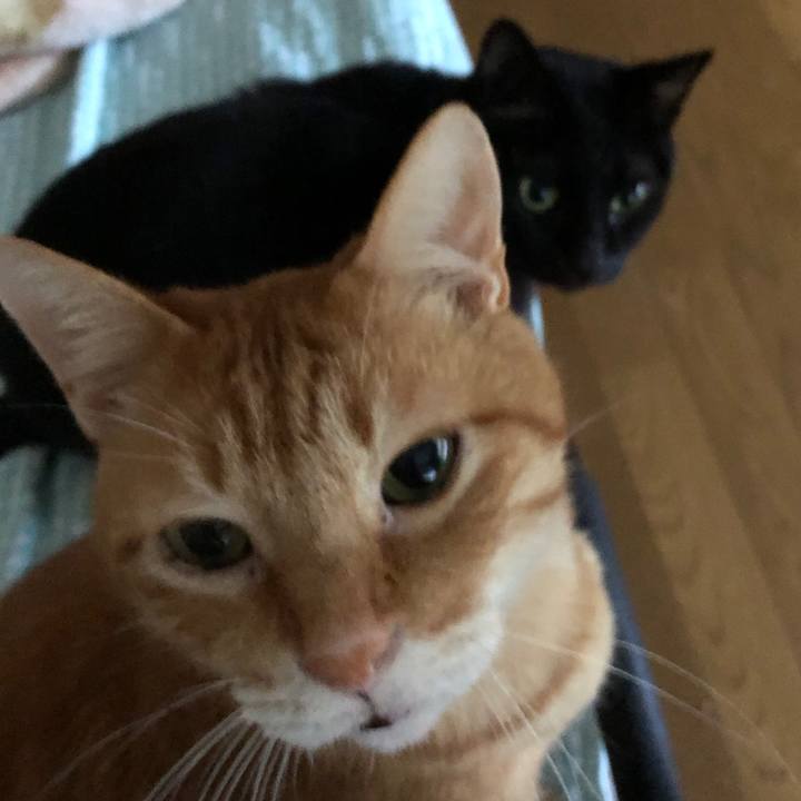 8ae66d62 e8fa 4638 b1ea a7bb4413509d 1725655792901