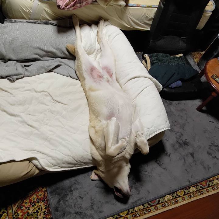 8ae68082 ccbf 46d7 a93e 887681959db4 1709619140666