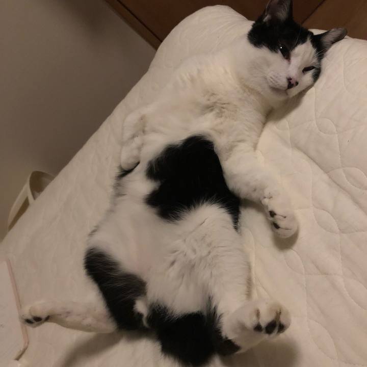 8ae695ee ae9a 4762 a353 53f6d962fd85 1559791710252