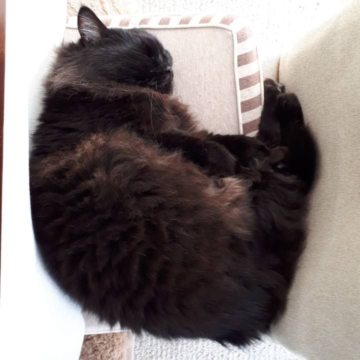 8ae6a2e8 c93c 40a1 a973 322f99eaf3f9 1521961414547