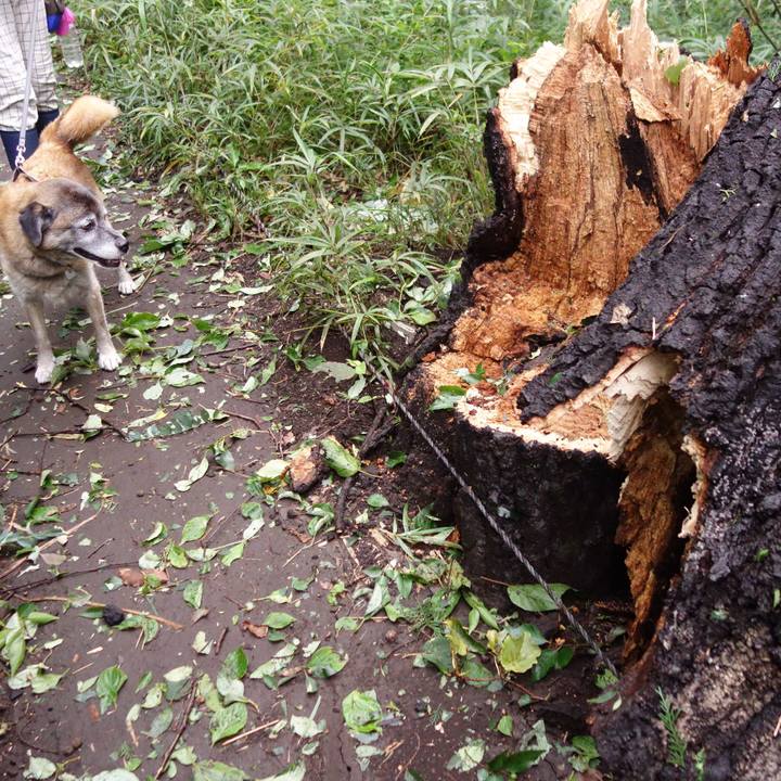 8ae6c3cb 4a79 4685 9a9b 7017c830f6f1 1567989129769