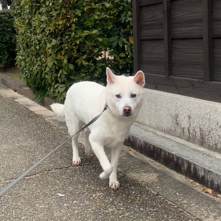 8ae6c43d a6ed 4654 a5ee 558d0e9da6a6 1549804839255