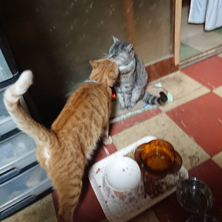 8ae6e88f 23b9 4a0e b2c0 44d62ae84bc9 1571907284462