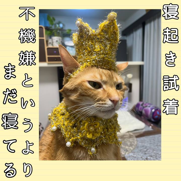 8ae6ea41 ef4f 46be 8c45 78ee4086a268 1673179004921