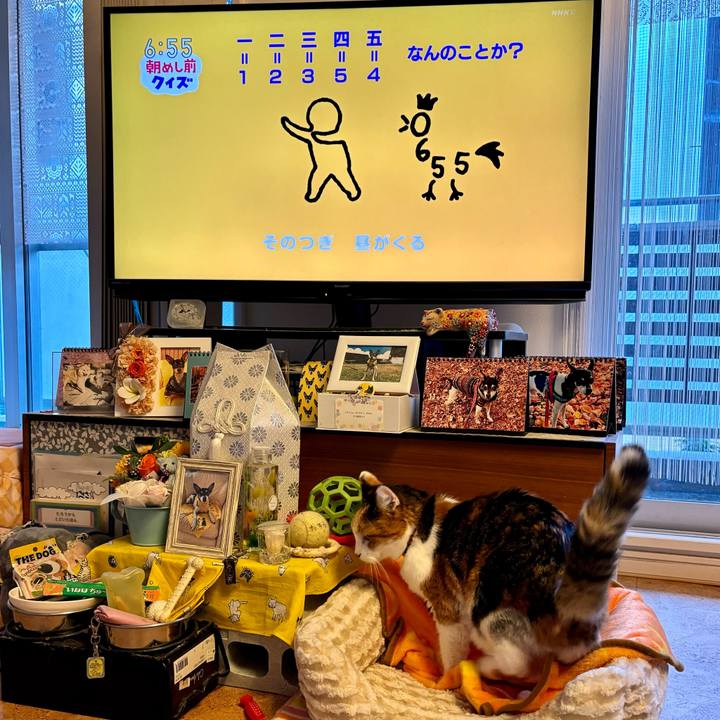 8ae727e5 6252 419b a303 4ebb31625aa8 1699999599973