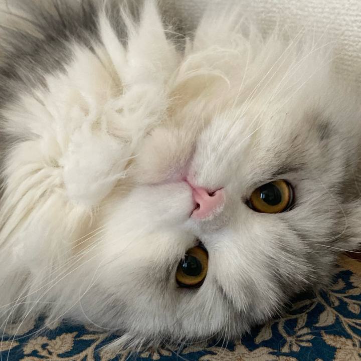 8ae76a1f 9d80 43e0 aafb 1e7491cb447f 1639908348229