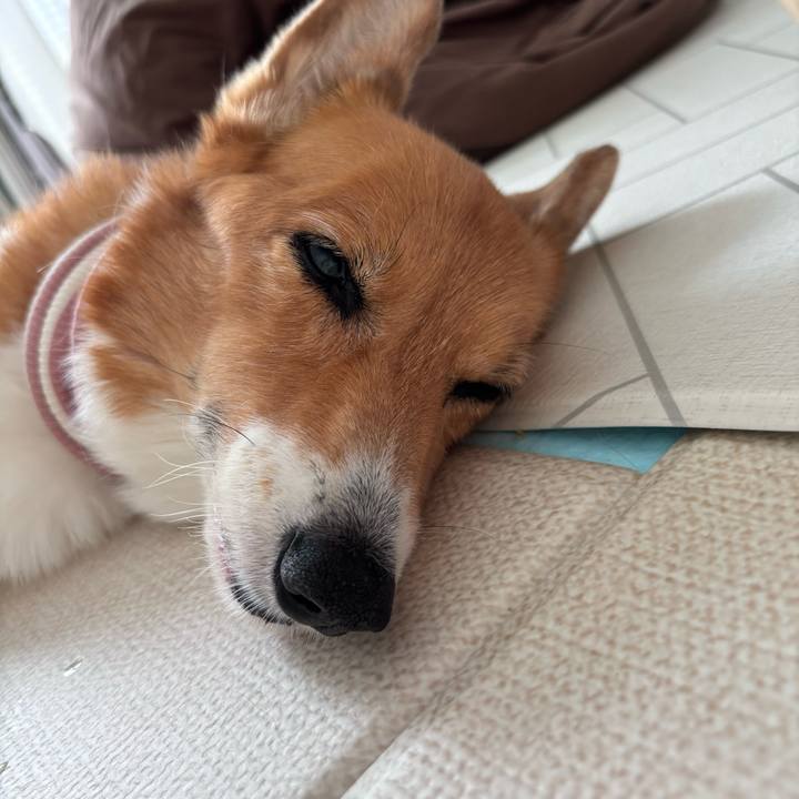 8ae77961 9758 4c66 982d 0f932865c767 1757131059991