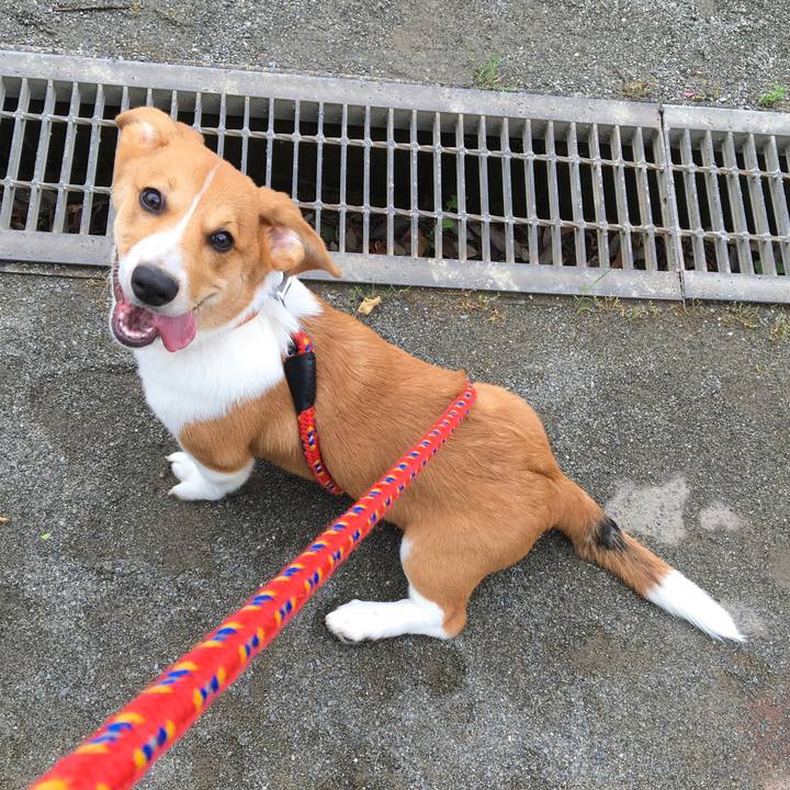 8ae797e3 e11d 4f79 b96d 91572372c003 1595038003550