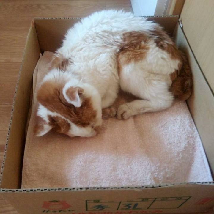 8ae7abfa a624 40e4 8585 de93fcc70766 1626588982368