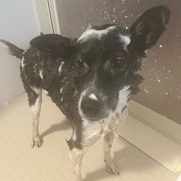 8ae7b20a 7915 4b34 b0c1 99abb64cdc2c 1703931877330