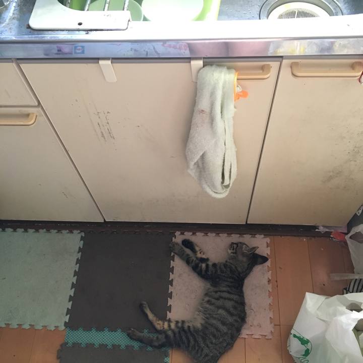 8ae7da68 ab65 499f b40b dd8b04bdd931 1536763668787