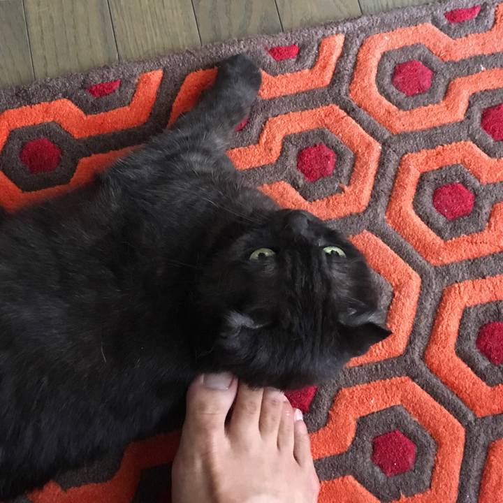 8ae7ec3b c024 4e58 81a2 8b4652f63fbf 1568512846272