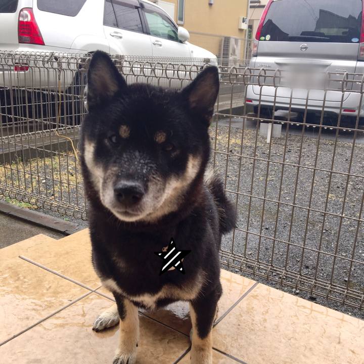 8ae8079e c705 43ab 8a8b 4b154efb0806 1524017080776