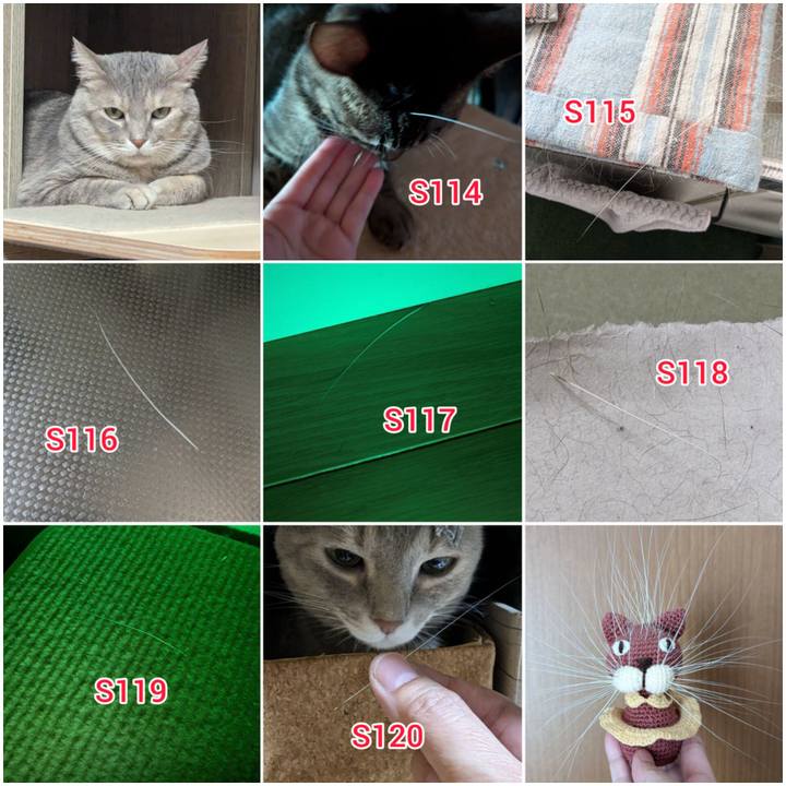 8ae88707 ea09 4565 8cda 5b45daa6a019 1730176808157