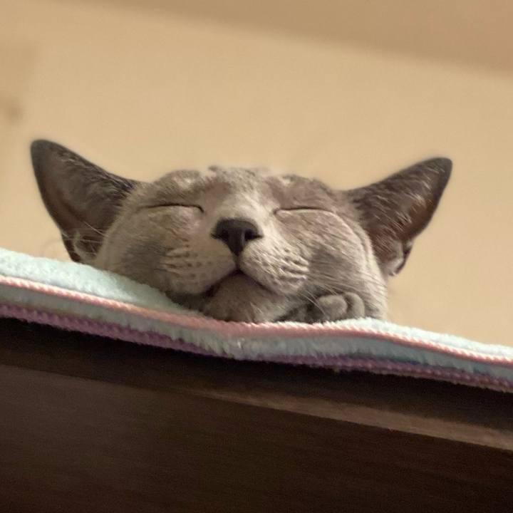 8ae8c8cf 6222 44b4 b7a8 24b39d8944fd 1635847839579