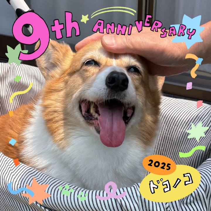 8ae8e70e 5924 41e9 bd38 5463aa15beb0 1749175412191